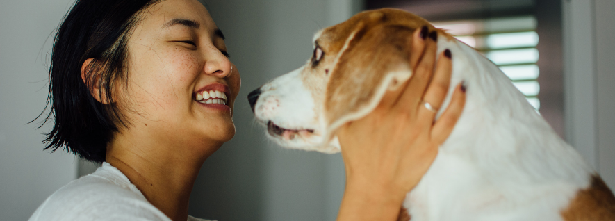 An Asian women smiling looking at a dog. She is holding the dogs face and the dog has a cute but sad look on it's face.