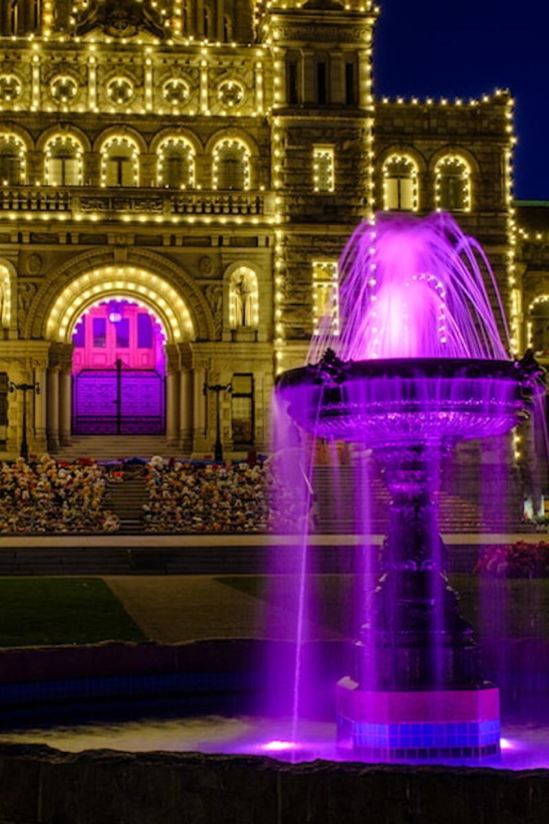 International Overdose Awareness Day Event ~ Parliament House