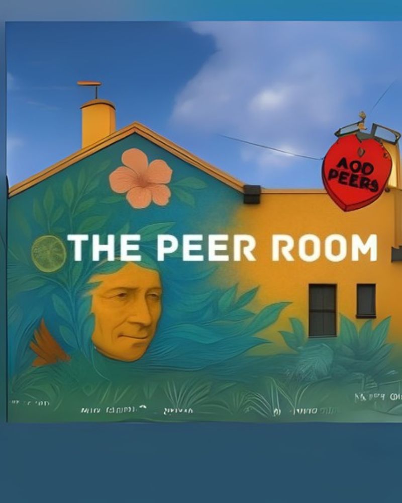The Peer Room - Session 1